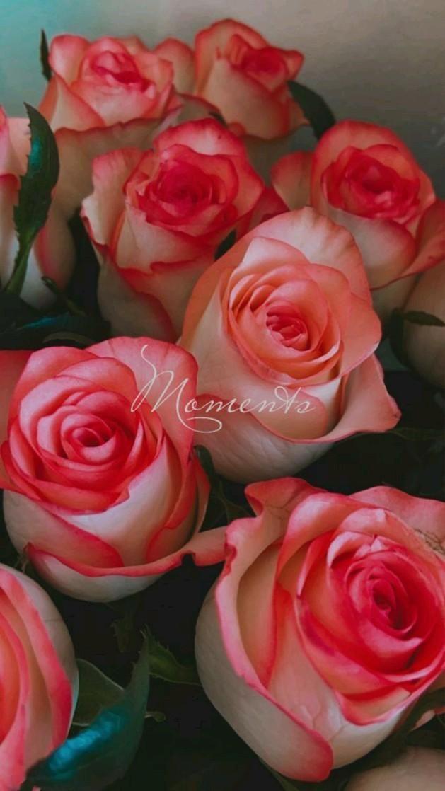 Enchanted Elegance: Refined Botanical Display